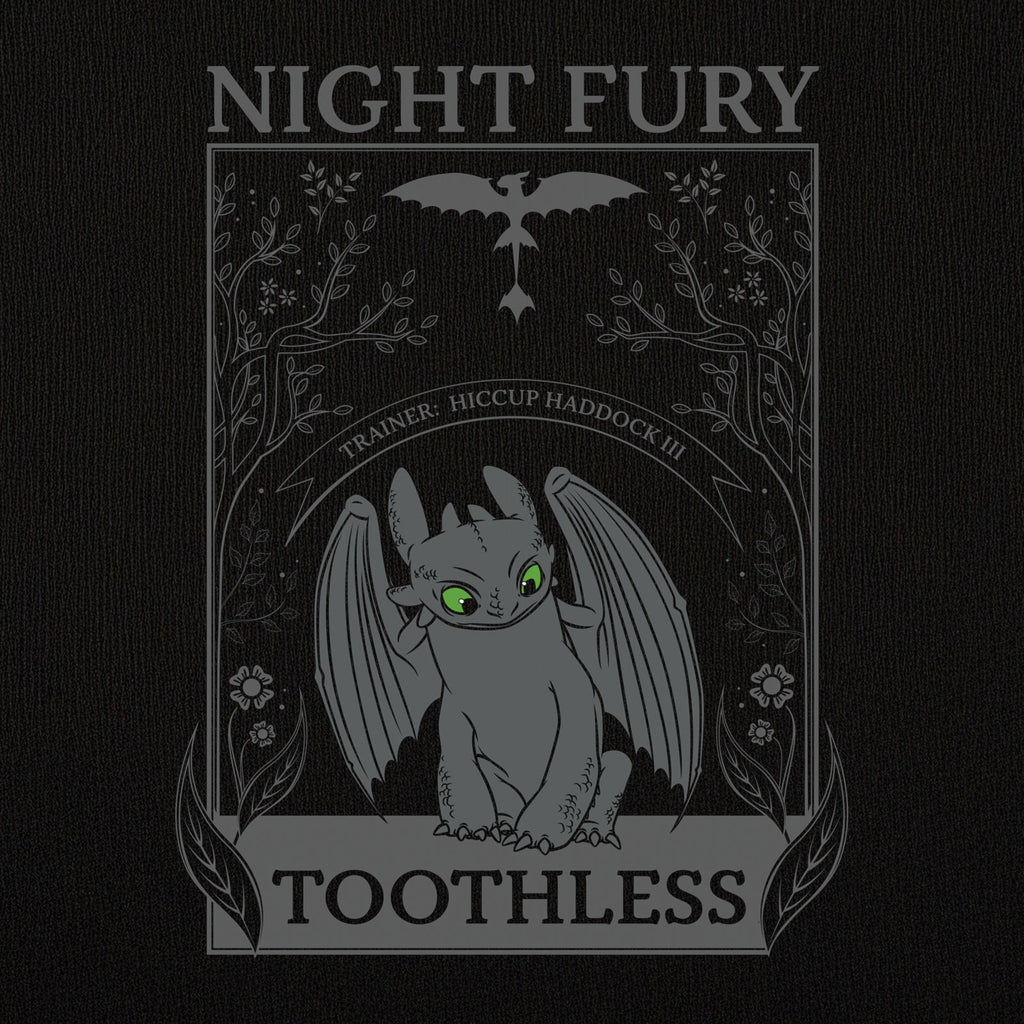 Produktbild Drachenzähmen leicht gemacht - Night Fury T-Shirt Damen schwarz