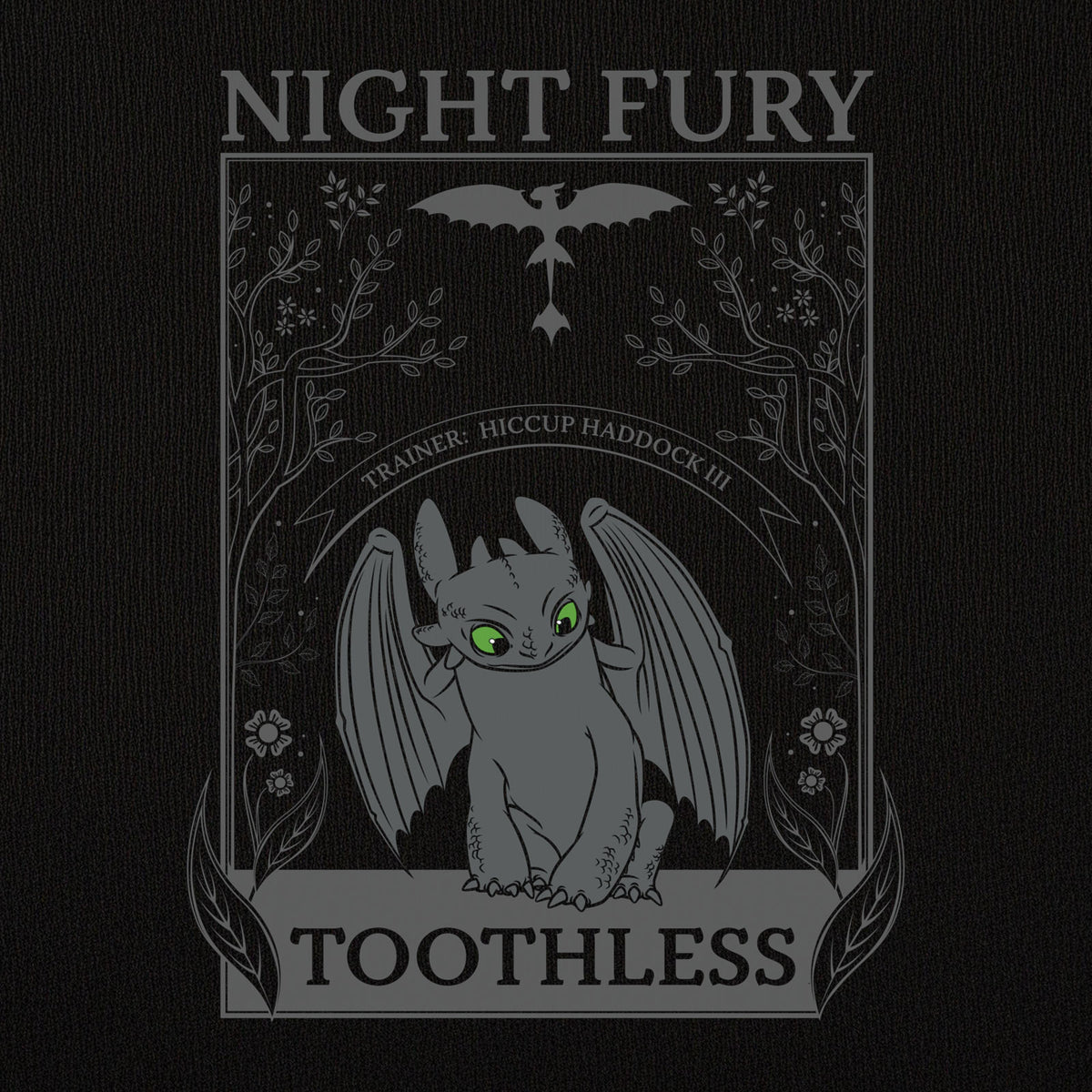 Produktbild Drachenzähmen leicht gemacht - Night Fury T-Shirt Damen schwarz
