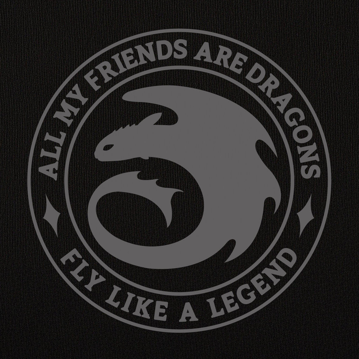Produktbild Drachenzähmen leicht gemacht - Night Fury Legend Hoodie schwarz