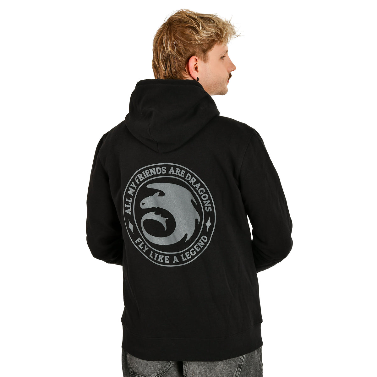Produktbild Drachenzähmen leicht gemacht - Night Fury Legend Hoodie schwarz
