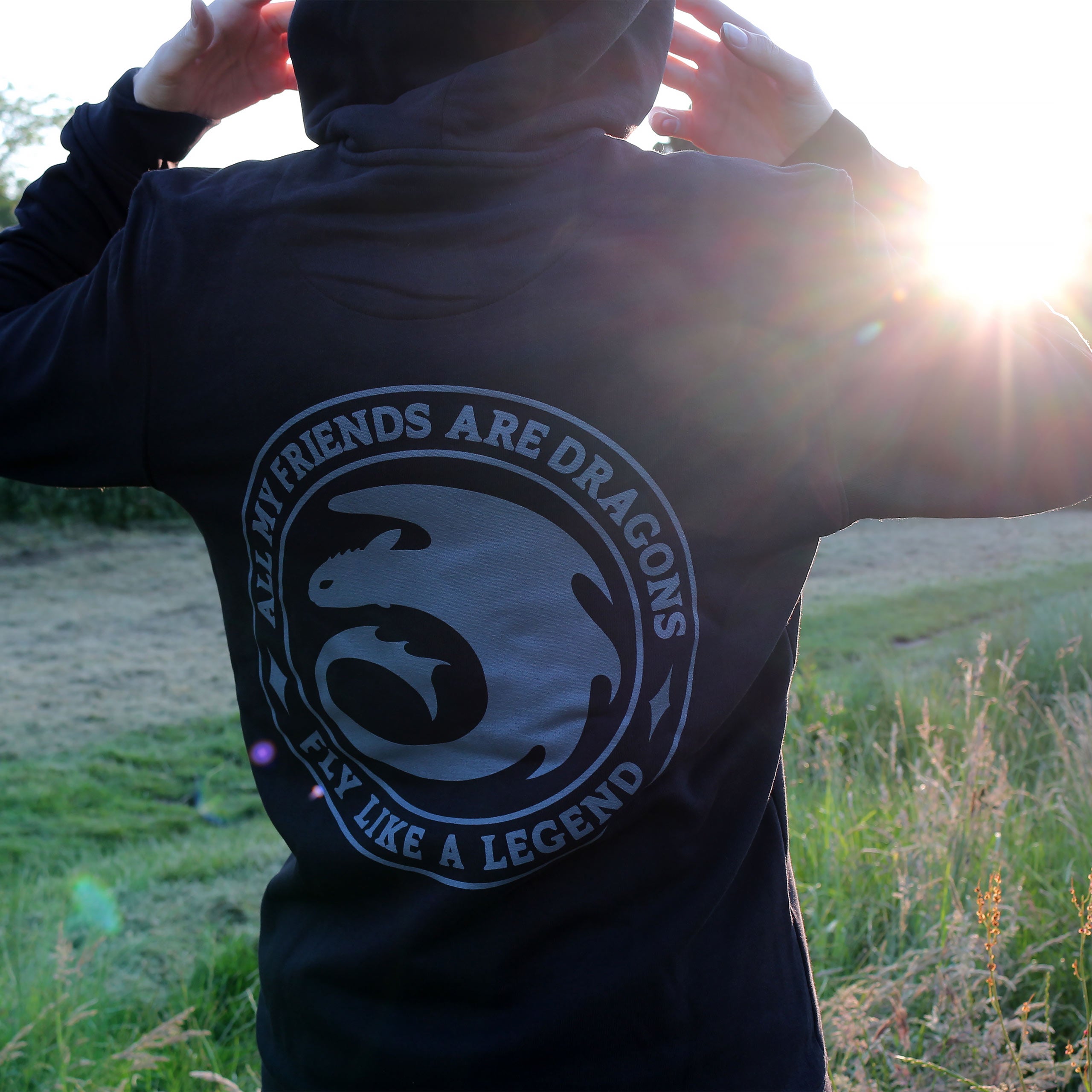 Produktbild Drachenzähmen leicht gemacht - Night Fury Legend Hoodie schwarz