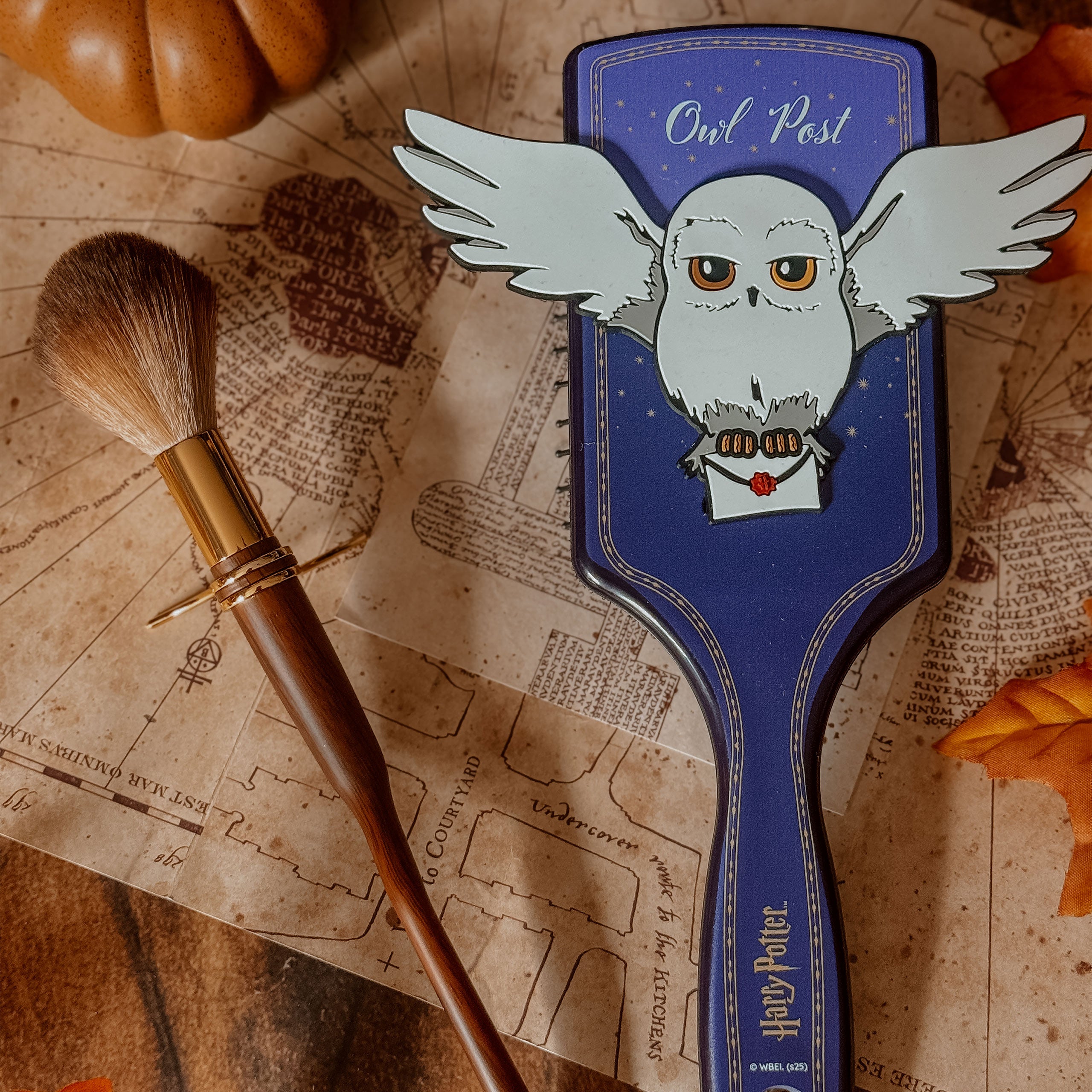 Produktbild Harry Potter - Hedwig Haarbürste
