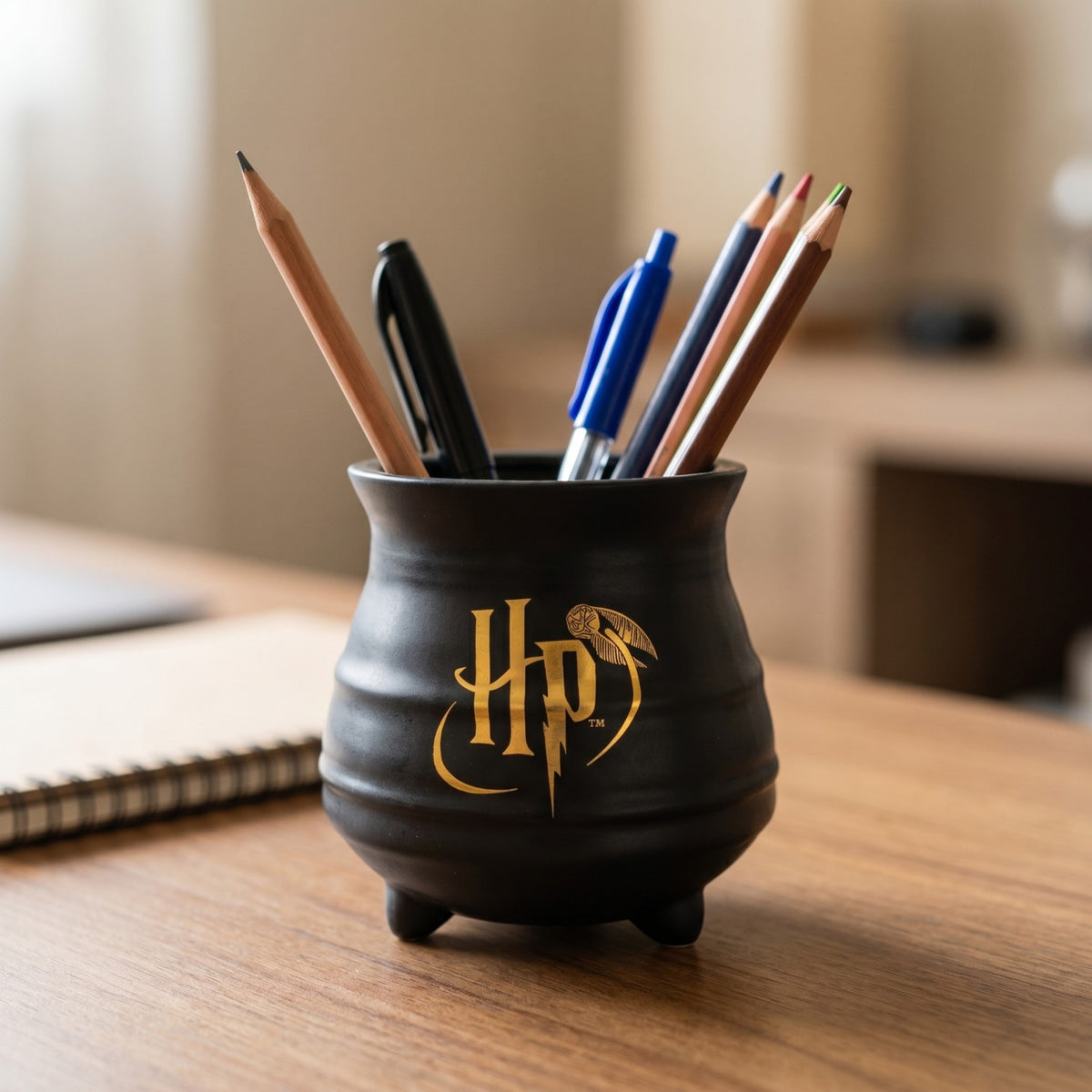 Produktbild Harry Potter - Hogwarts Kessel Blumentopf