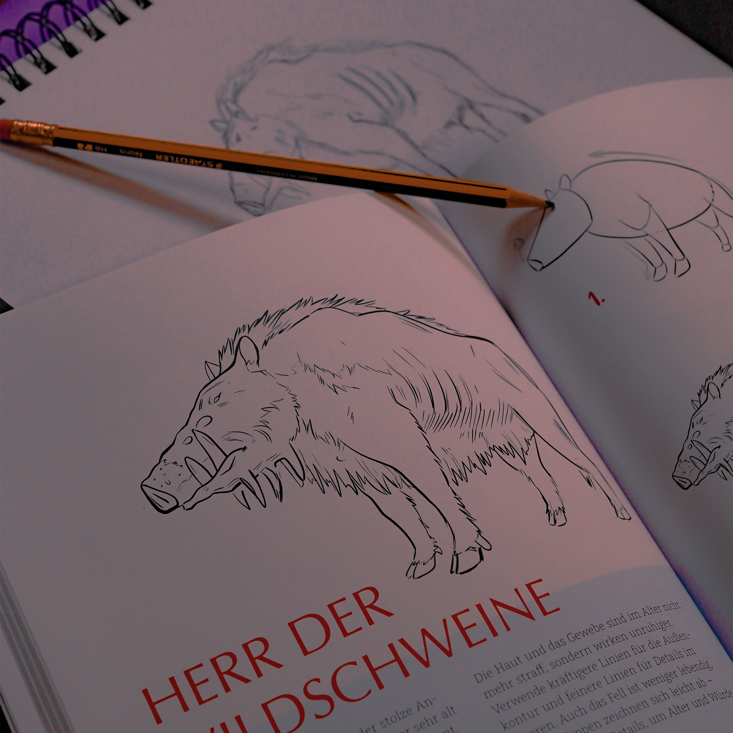 Produktbild Das inoffizielle Ghibli-Zeichenbuch