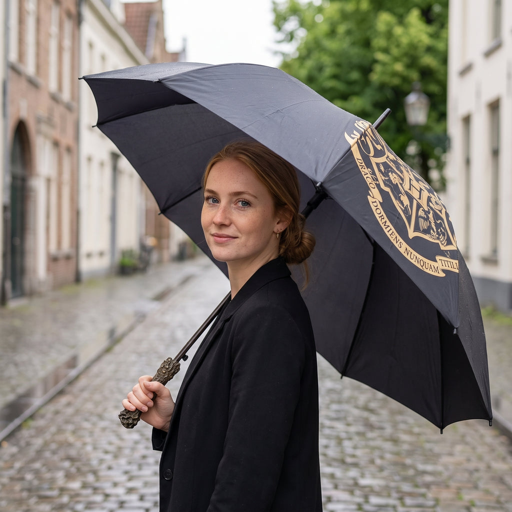 Produktbild Harry Potter - Hogwarts Schirm