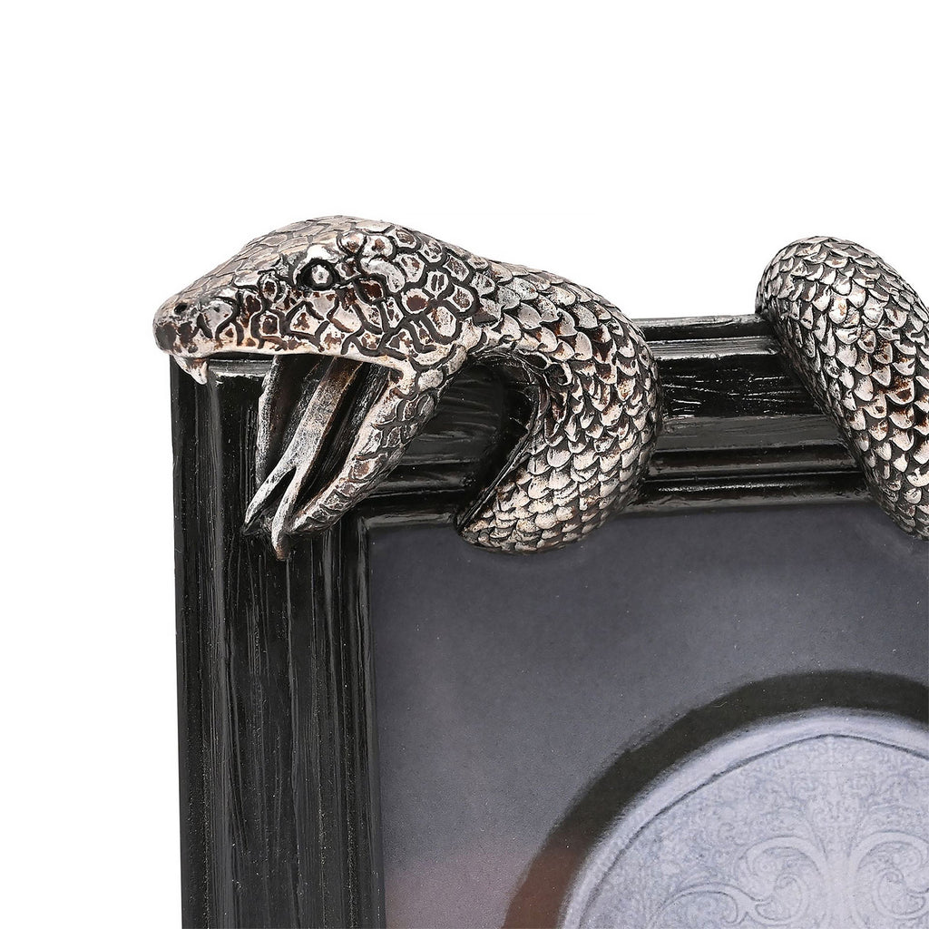Produktbild Harry Potter - Nagini Bilderrahmen
