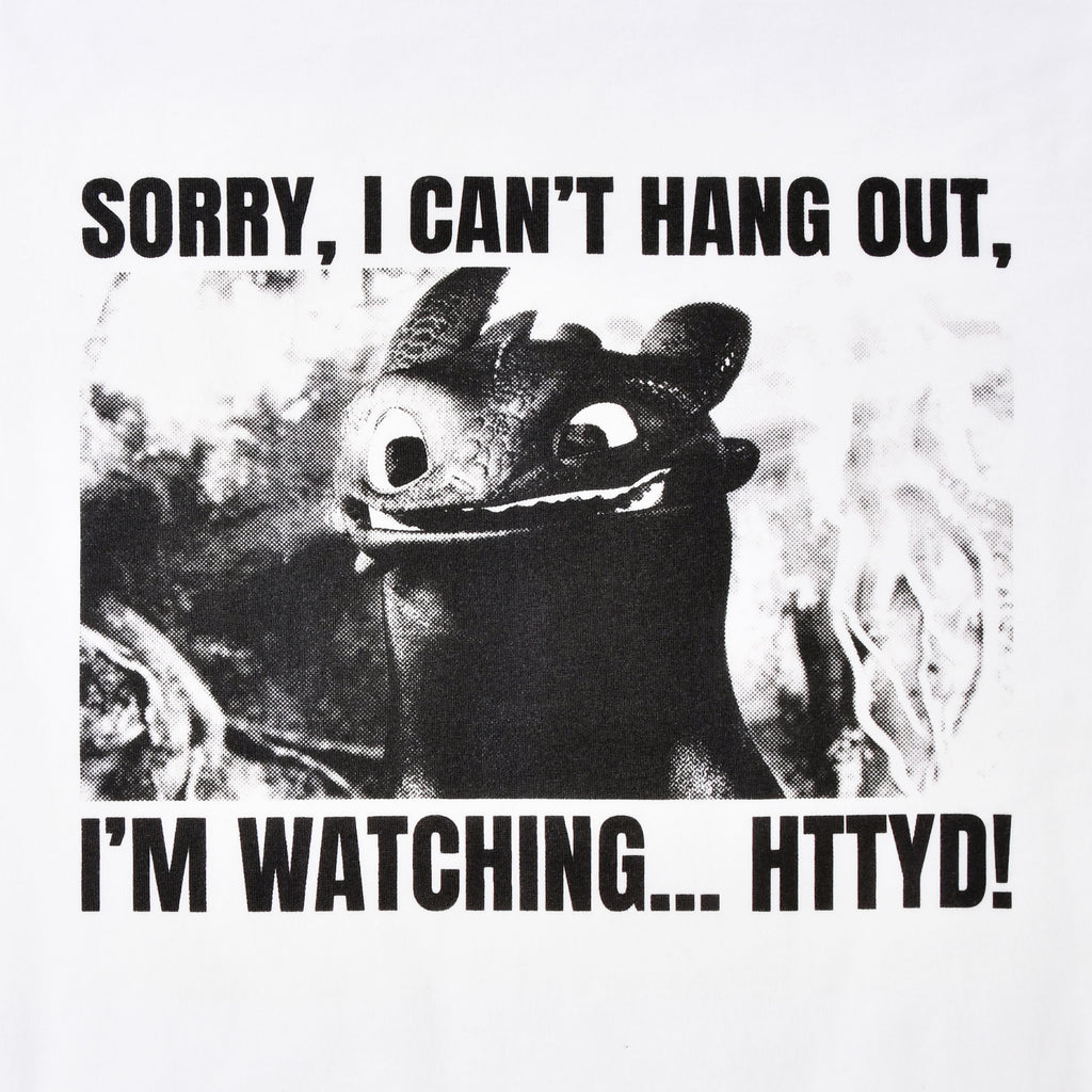 Produktbild Ohnezahn Watching HTTYD T-Shirt - Drachenzähmen leicht gemacht