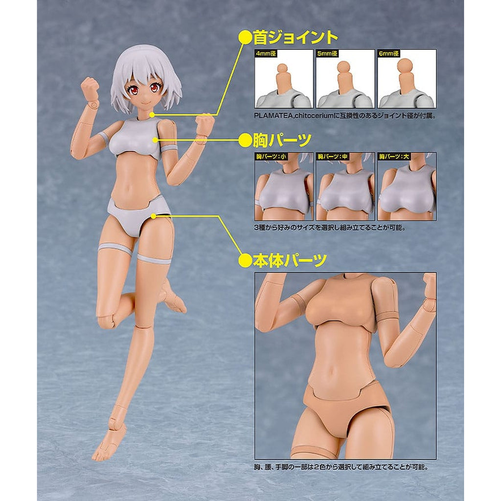 Produktbild PLAMATEA Modellbausatz - Muse Body: Ichika C Type