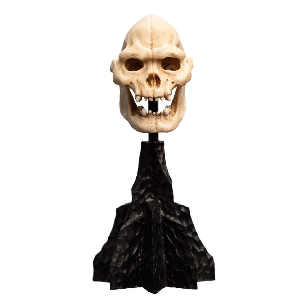 Produktbild Der Herr der Ringe - Skull of Lurtz Mini Statue