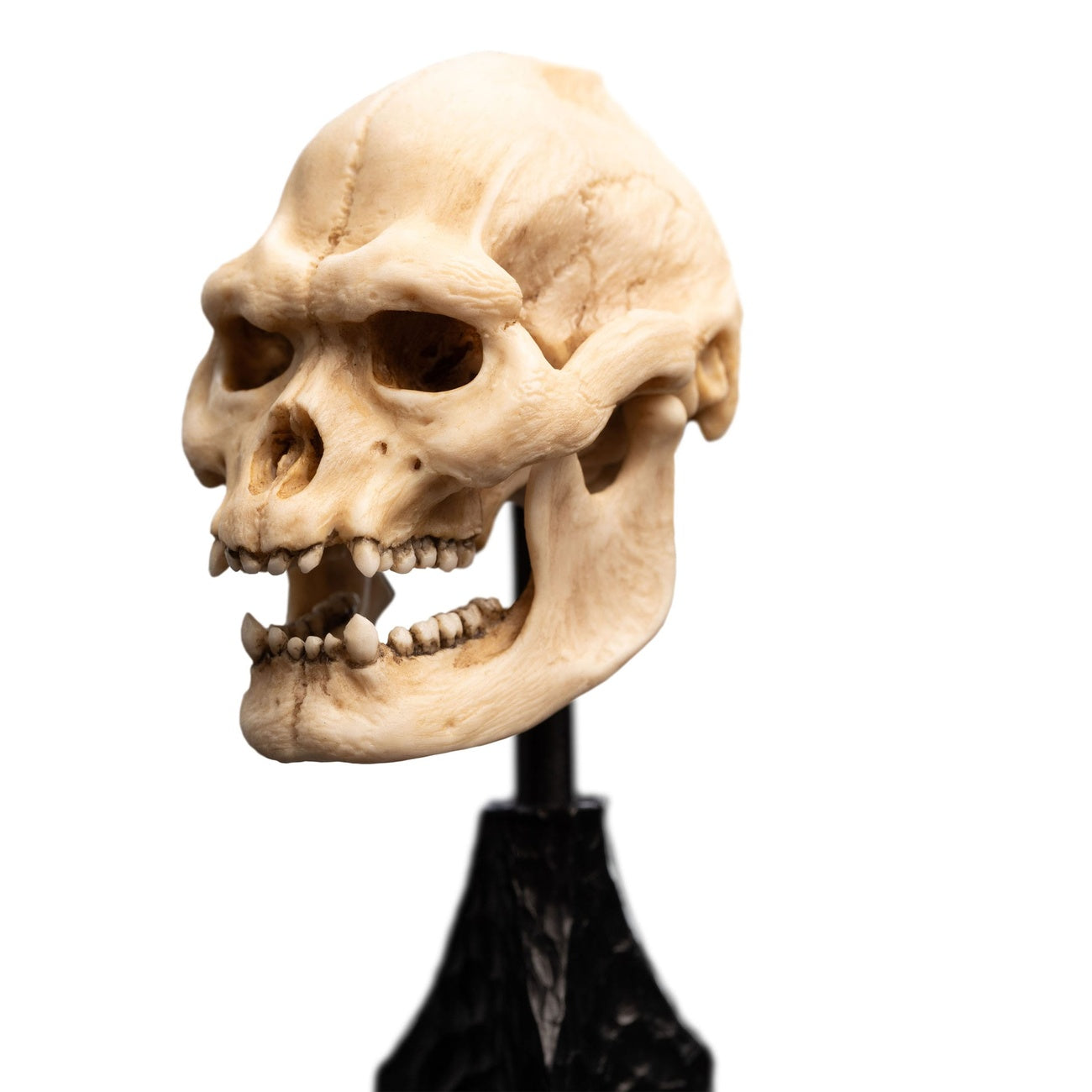 Produktbild Der Herr der Ringe - Skull of Lurtz Mini Statue