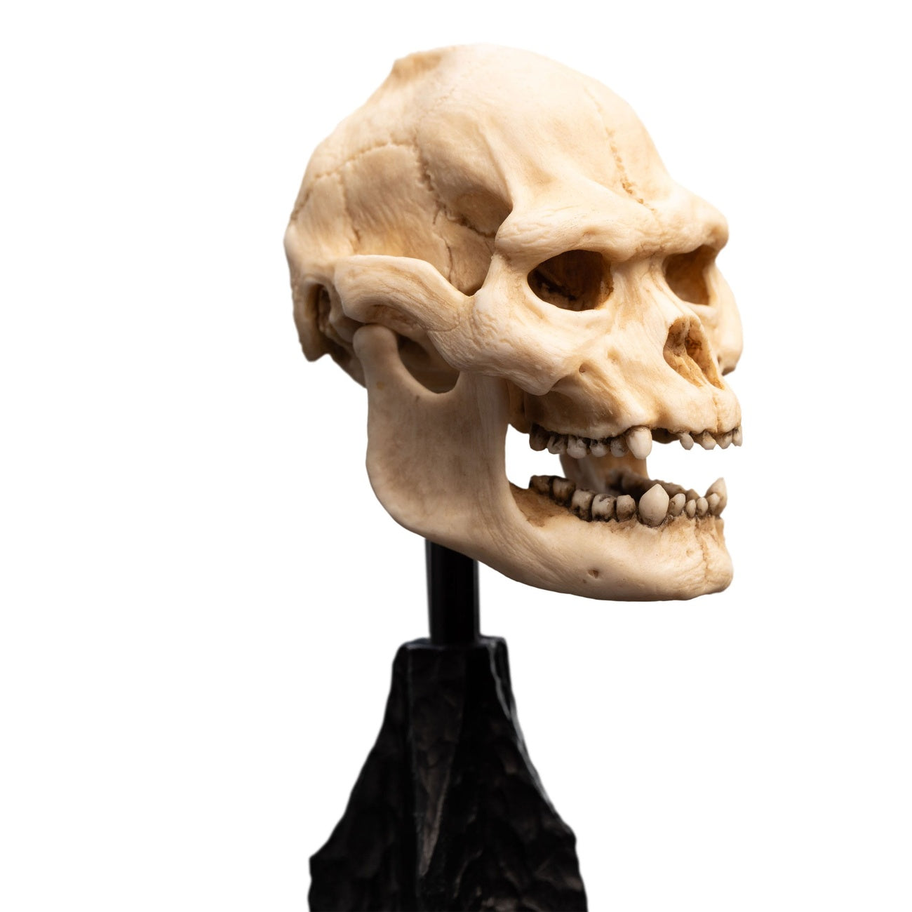Produktbild Der Herr der Ringe - Skull of Lurtz Mini Statue