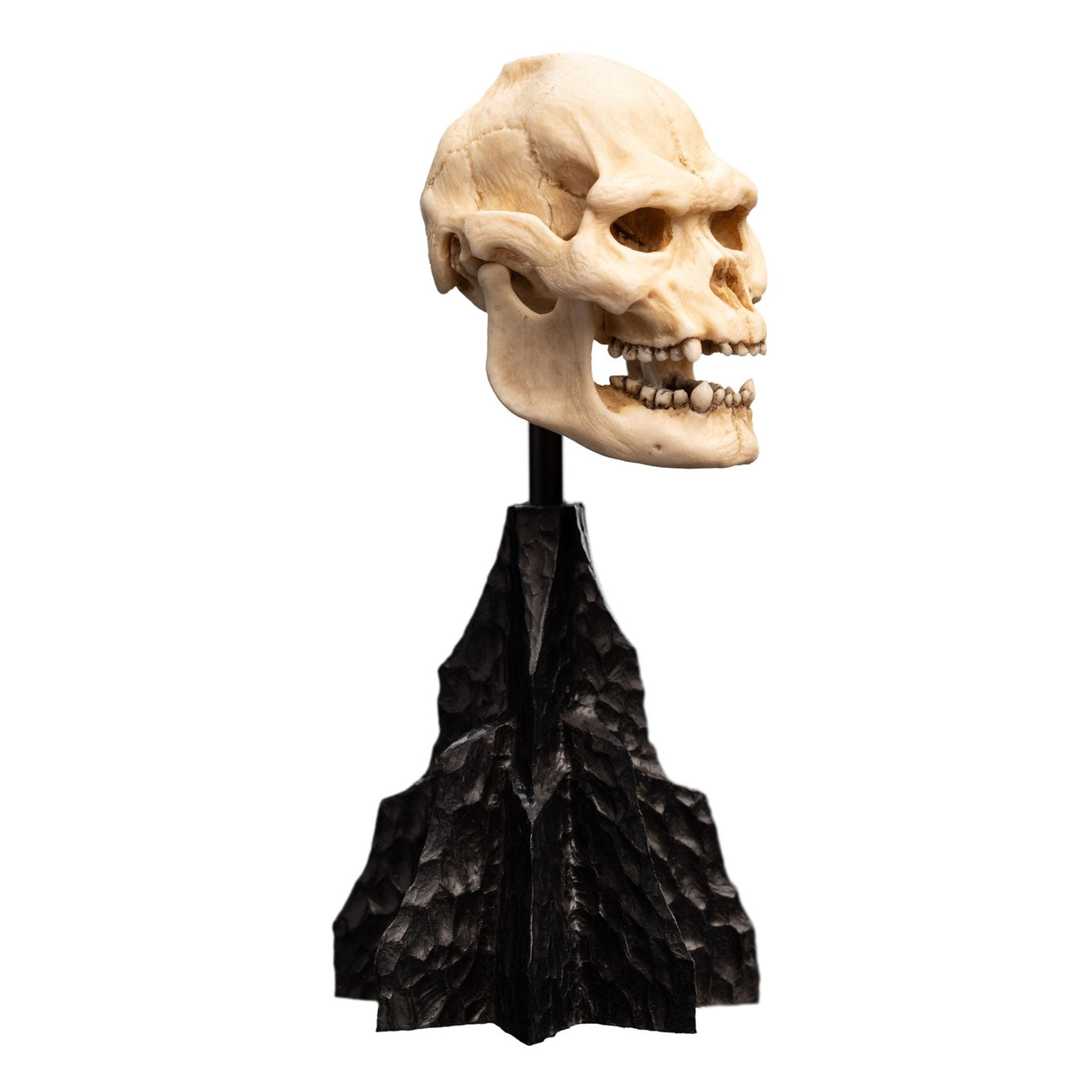 Produktbild Der Herr der Ringe - Skull of Lurtz Mini Statue