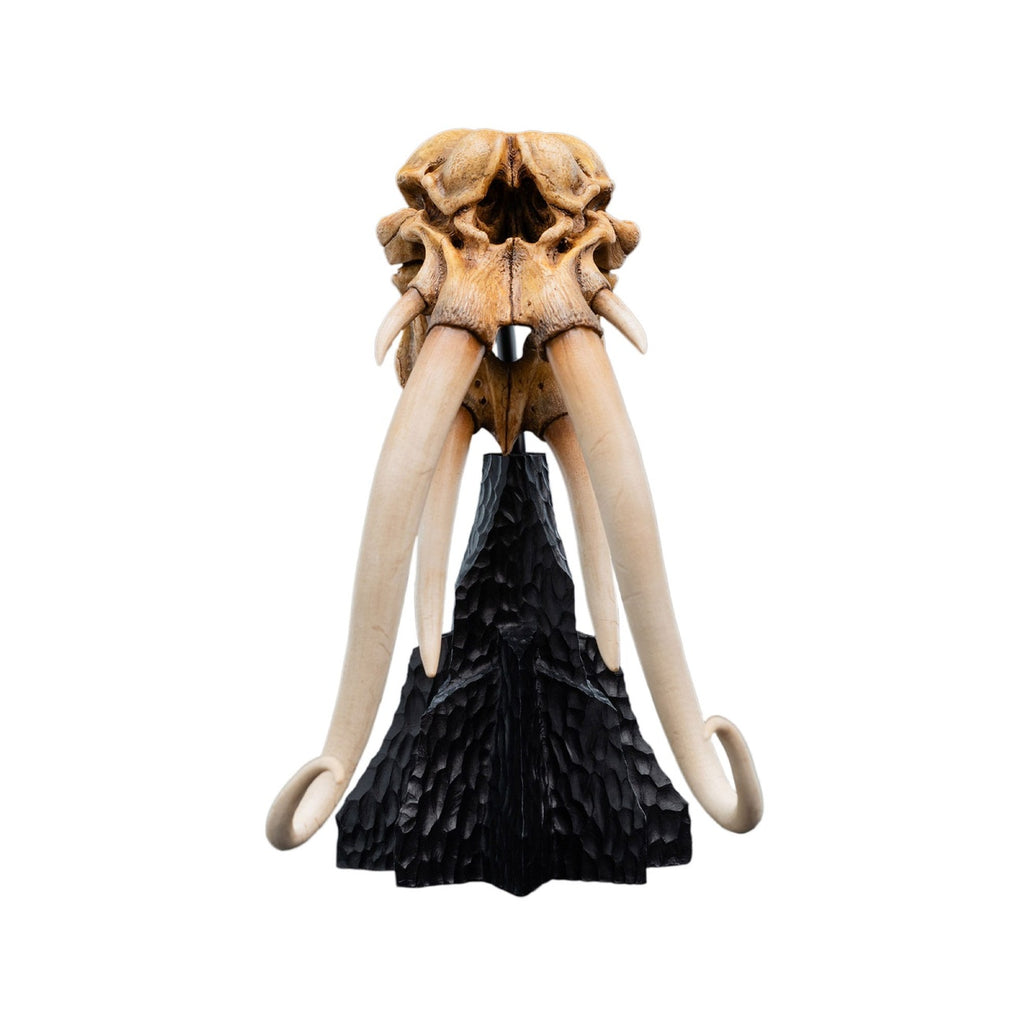 Produktbild Der Herr der Ringe - Skull of a Mumak Mini Statue
