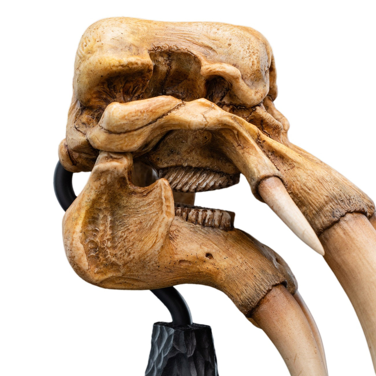 Produktbild Der Herr der Ringe - Skull of a Mumak Mini Statue
