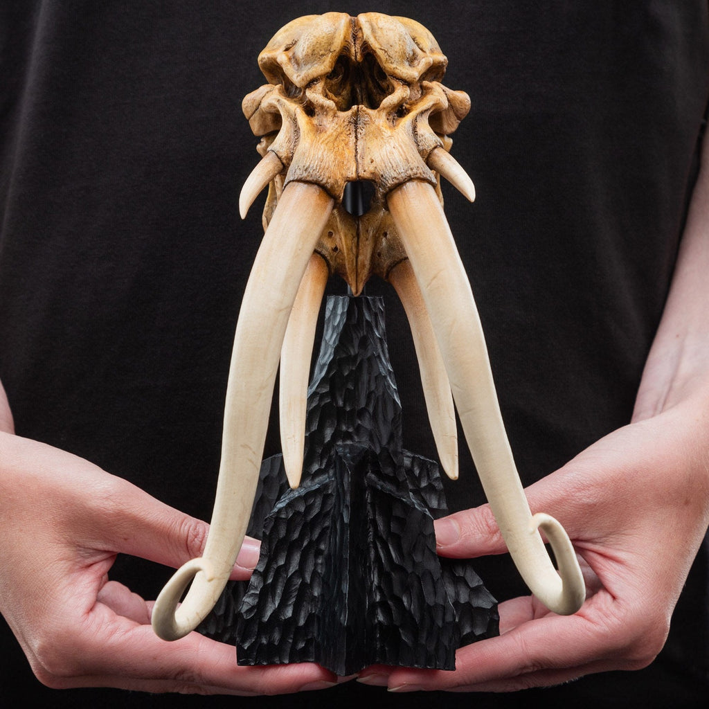 Produktbild Der Herr der Ringe - Skull of a Mumak Mini Statue