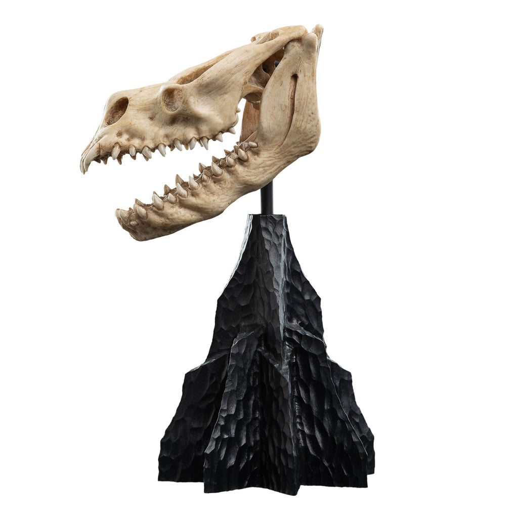 Produktbild Der Herr der Ringe - Skull of a Fell Beast Mini Statue