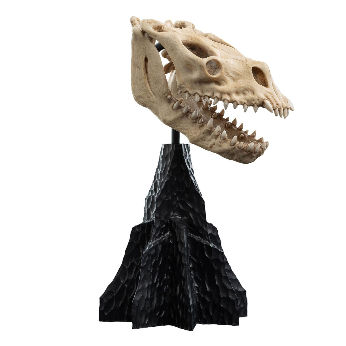 Produktbild Der Herr der Ringe - Skull of a Fell Beast Mini Statue