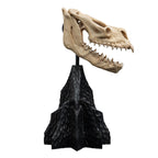 Produktbild Der Herr der Ringe - Skull of a Fell Beast Mini Statue