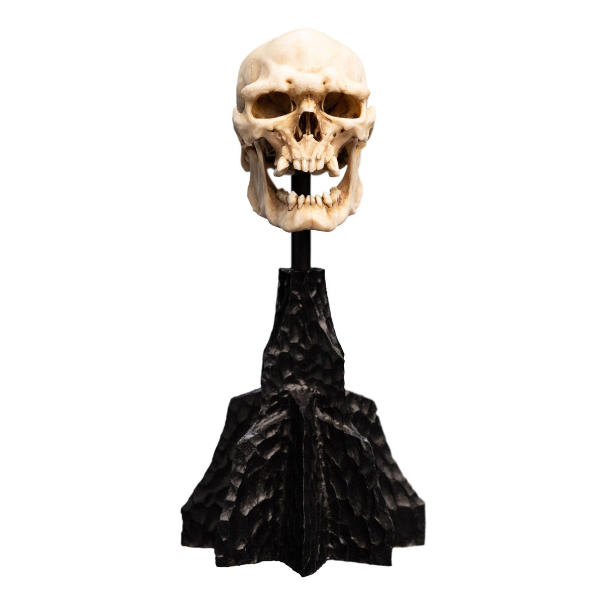 Produktbild Der Herr der Ringe - Skull of a Mordor Orc Mini Statue