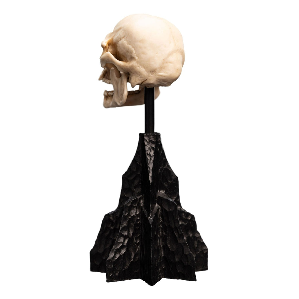 Produktbild Der Herr der Ringe - Skull of a Mordor Orc Mini Statue