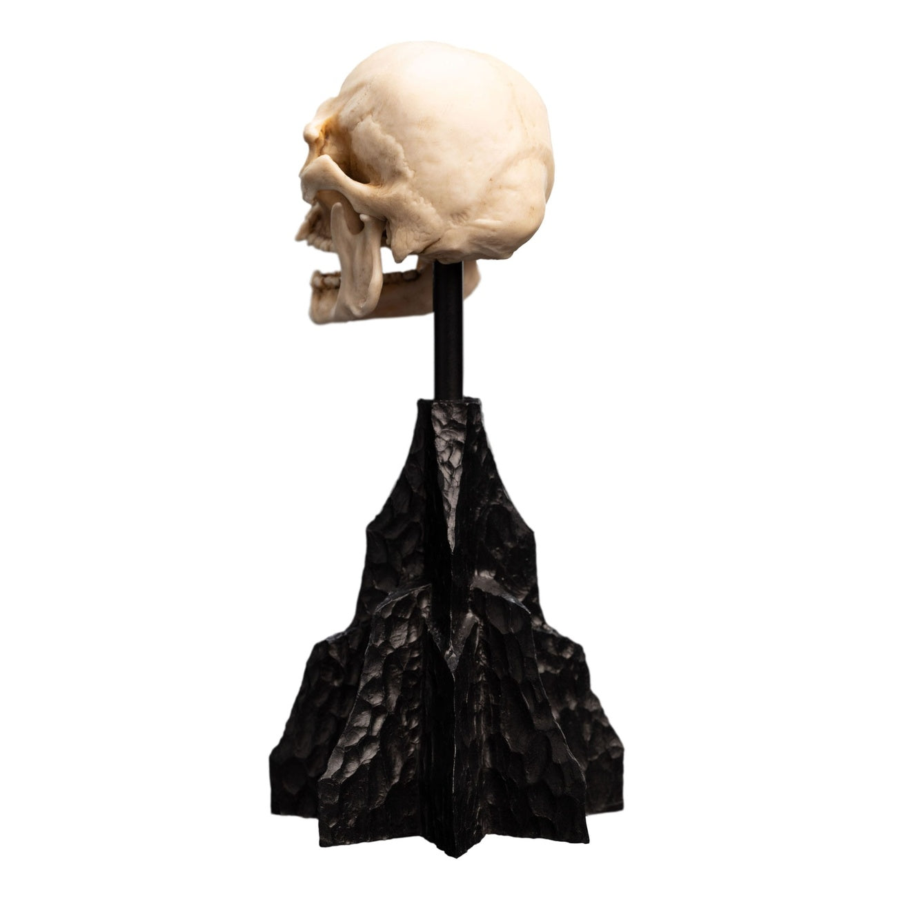 Produktbild Der Herr der Ringe - Skull of a Mordor Orc Mini Statue