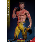 Produktbild Deadpool & Wolverine Movie Masterpiece Actionfigur 1/6 Wolverine (TVA Jacket Version) 31 cm