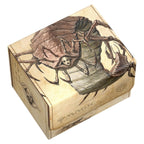 Produktbild Ultimate Guard Sidewinder 100+ Xenoskin Magic: The Gathering | Avatar: The Last Airbender - Koh, the Face Stealer