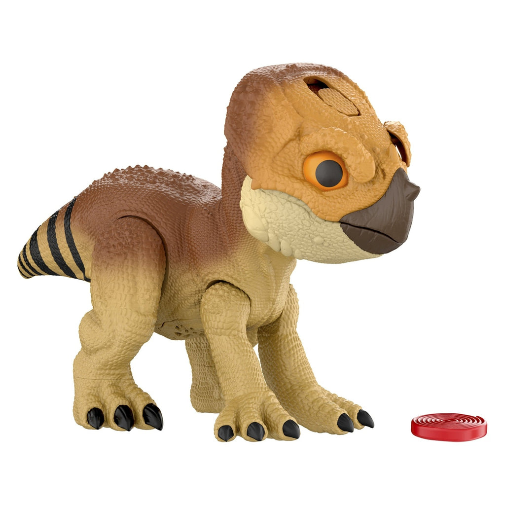 Produktbild Jurassic World: Die Wiedergeburt Interaktive Actionfigur Aquilops Dolores 13 cm