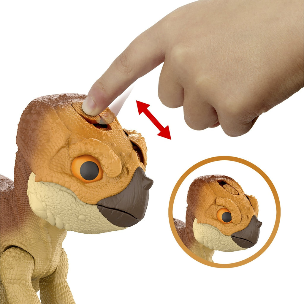 Produktbild Jurassic World: Die Wiedergeburt Interaktive Actionfigur Aquilops Dolores 13 cm