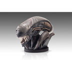 Produktbild Alien Romulus Büste 1/1 Xenomorph 53 cm