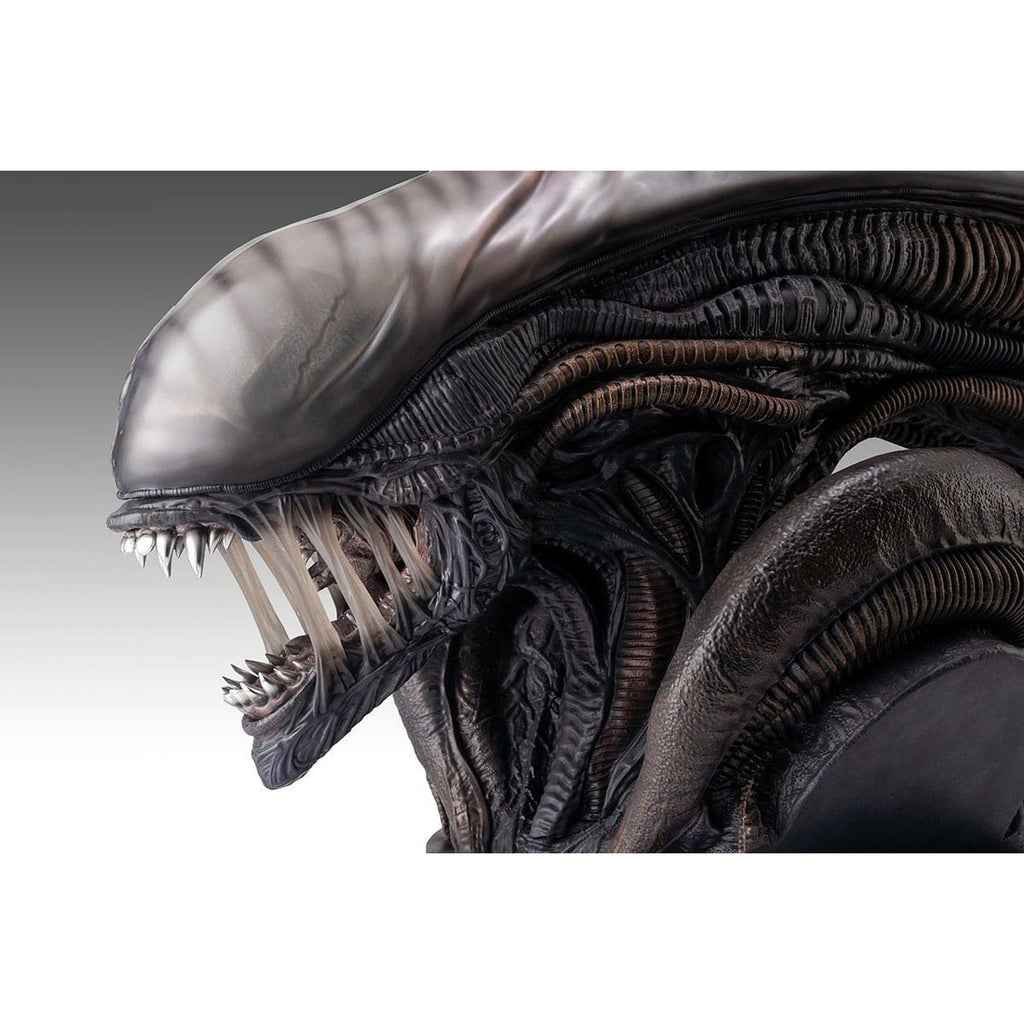 Produktbild Alien Romulus Büste 1/1 Xenomorph 53 cm