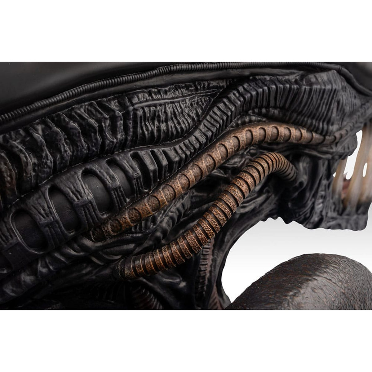 Produktbild Alien Romulus Büste 1/1 Xenomorph 53 cm