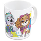 Produktbild Paw Patrol Tasse & Socken Set Girl Go Skye