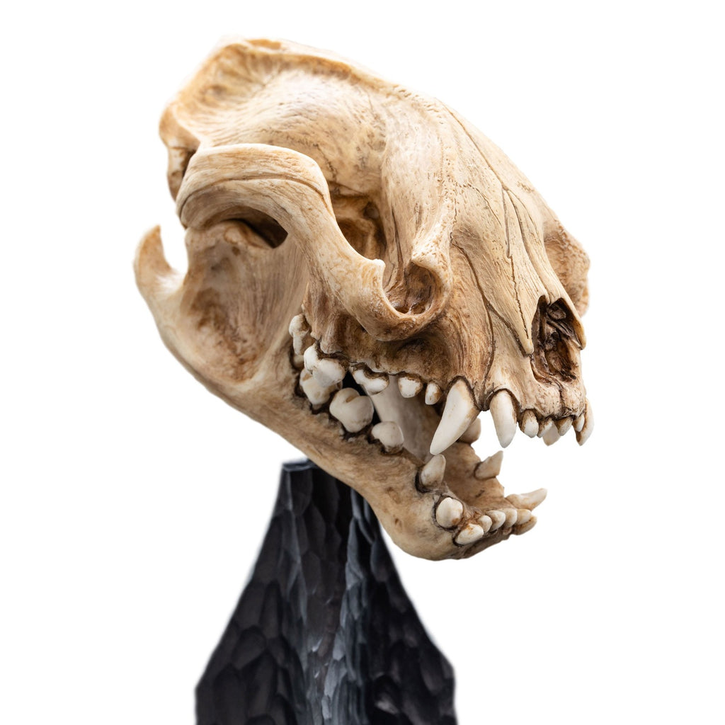Product image The Lord of the Rings Mini Statue Skull of a Warg 20 cm
