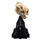 Product image The Lord of the Rings Mini Statue Skull of a Warg 20 cm