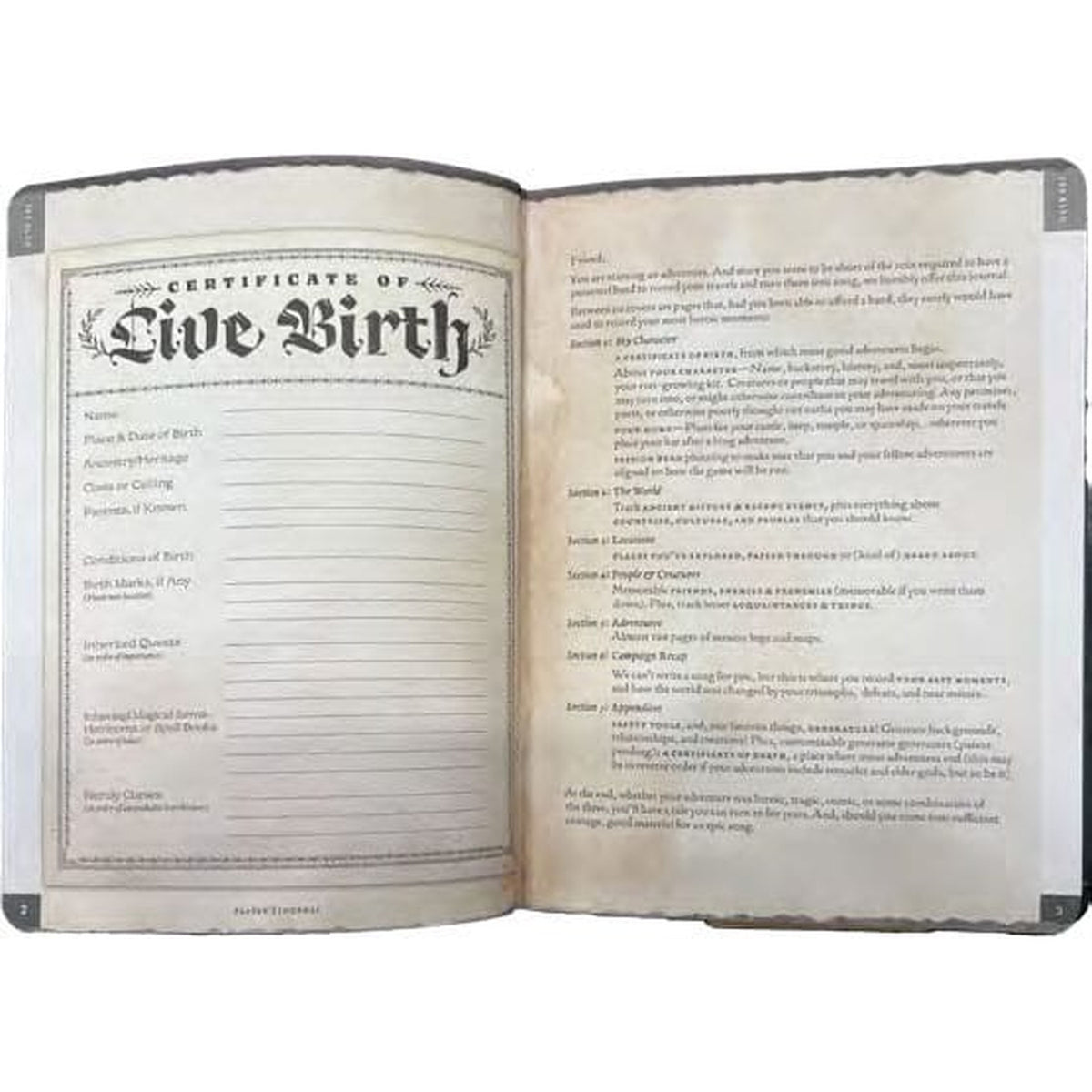 Produktbild Notizbuch A5 Player's Journal