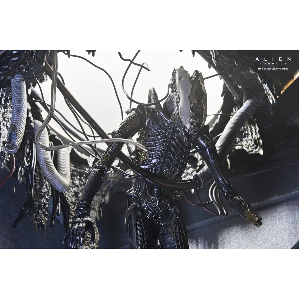 Produktbild Alien: Romulus Actionfigur Deluxe Suspended Lab Xenomorph
