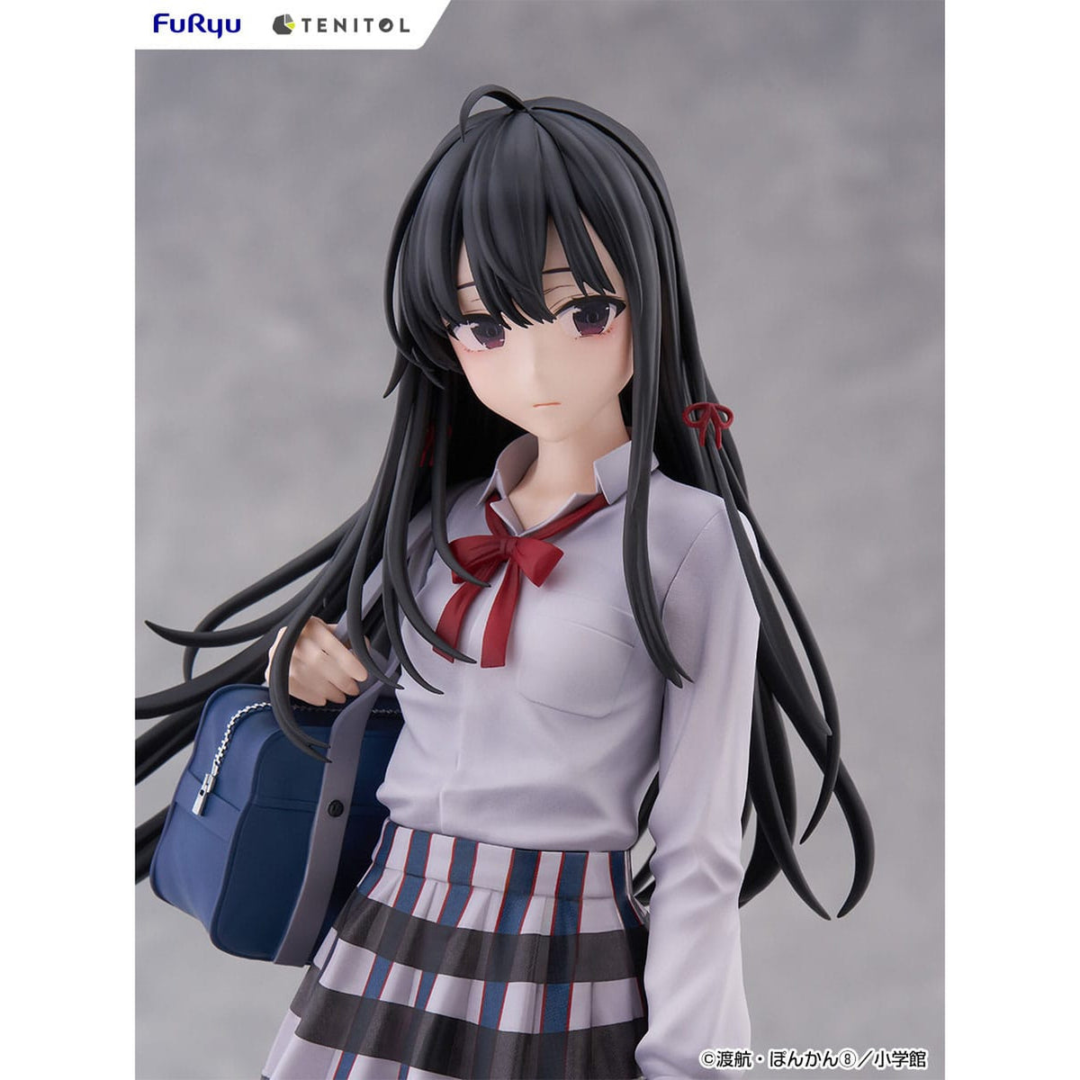 Product image My Youth Romantic Comedy Is Wrong, as I Expected Tenitol