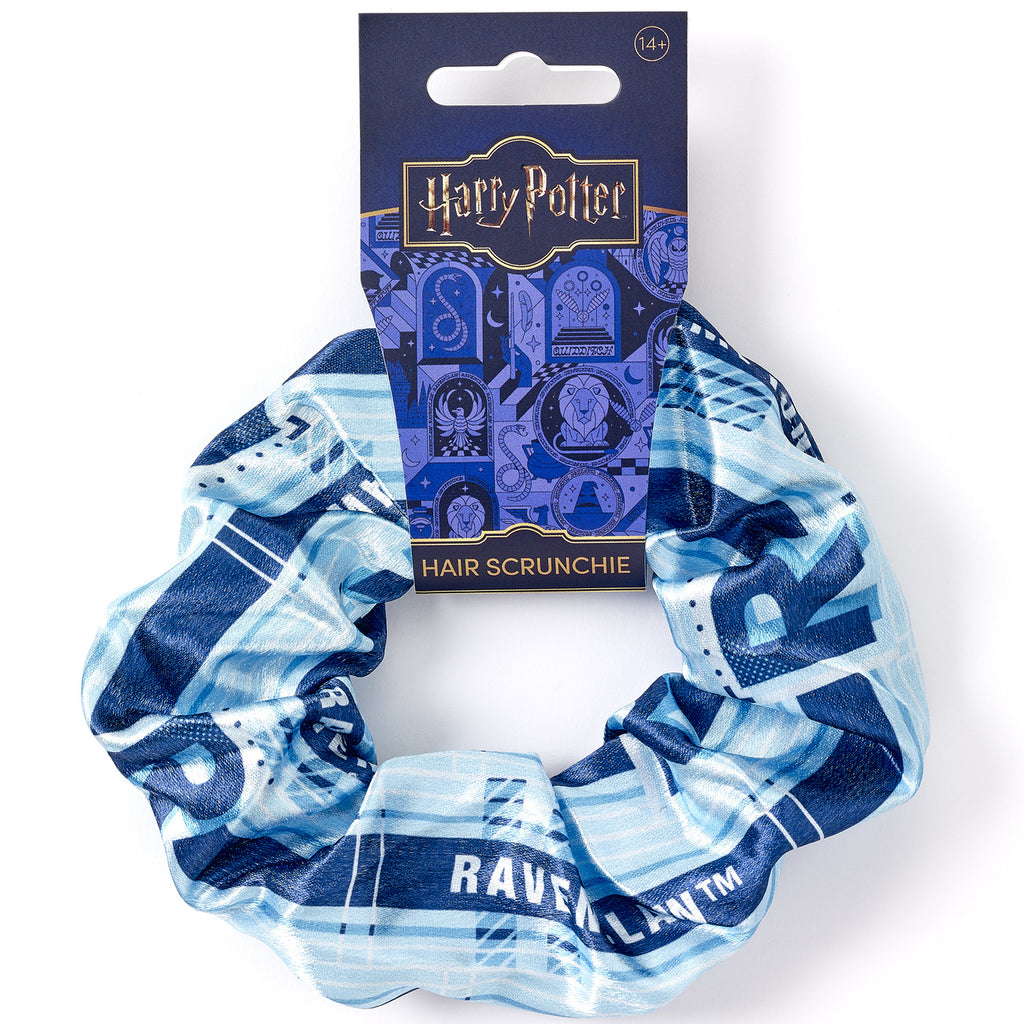 Produktbild Harry Potter - Ravenclaw Haargummi